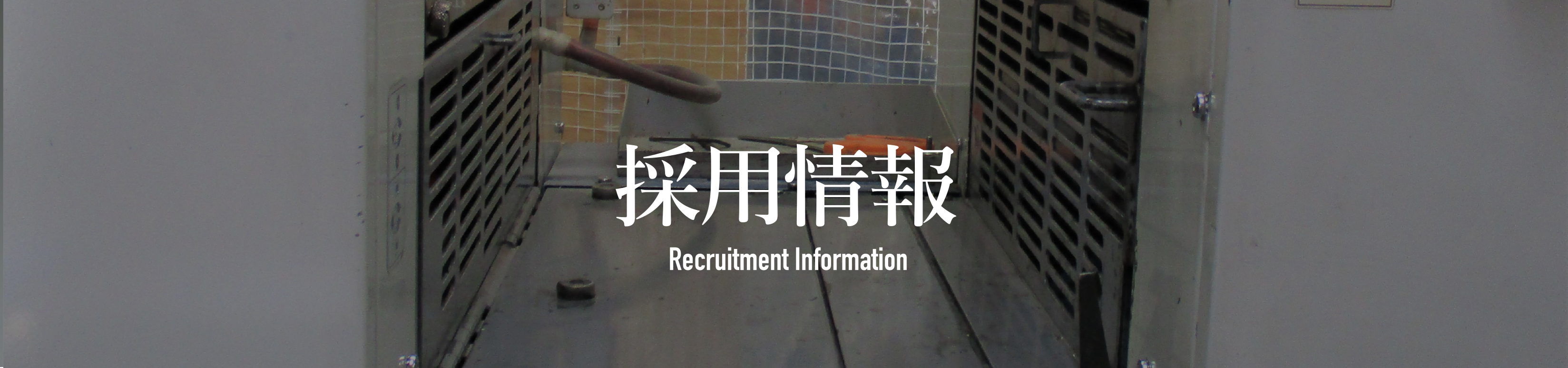 採用情報